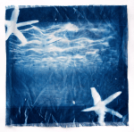 Screen Shot 2019-08-20 at 4.10.28&nbsp;pm