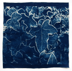 Screen Shot 2019-08-20 at 4.29.34&nbsp;pm