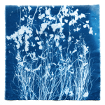 Screen Shot 2019-08-20 at 4.36.02&nbsp;pm