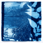 Screen Shot 2019-08-20 at 4.37.35&nbsp;pm