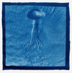 Screen Shot 2019-08-20 at 5.26.14&nbsp;pm