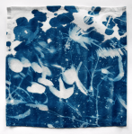 Screen Shot 2019-08-20 at 5.34.00&nbsp;pm