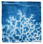 Screen Shot 2019-08-21 at 5.47.01&nbsp;pm