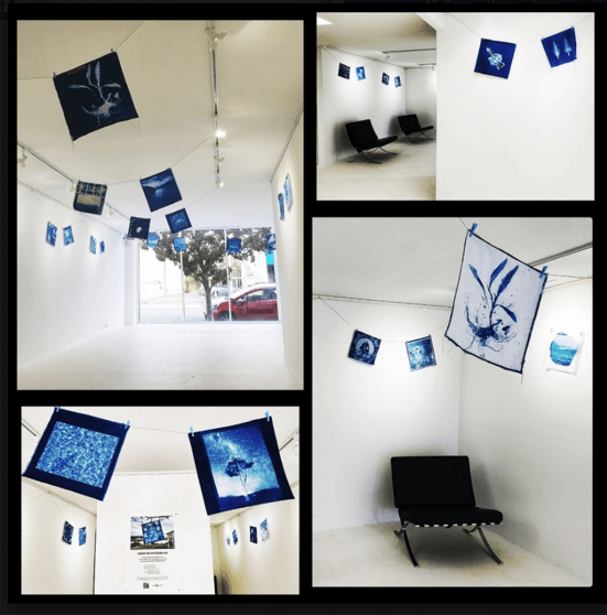 The installation at The Maud Street Photo Gallery PHOTO: Gail Neumann