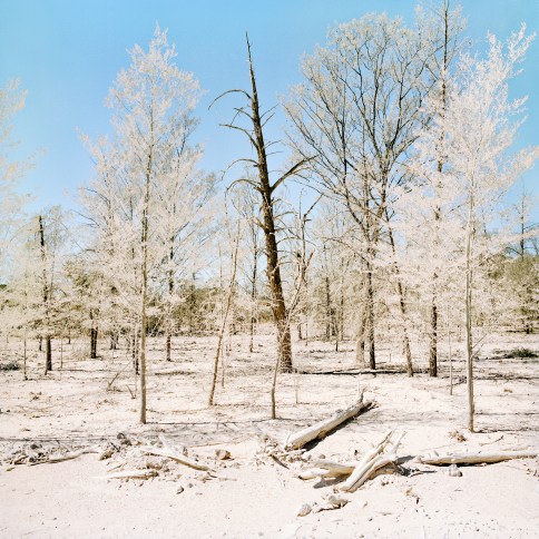 Lightning Without Flash...... QCA Webb Gallery PHOTO: Joe Ruckli