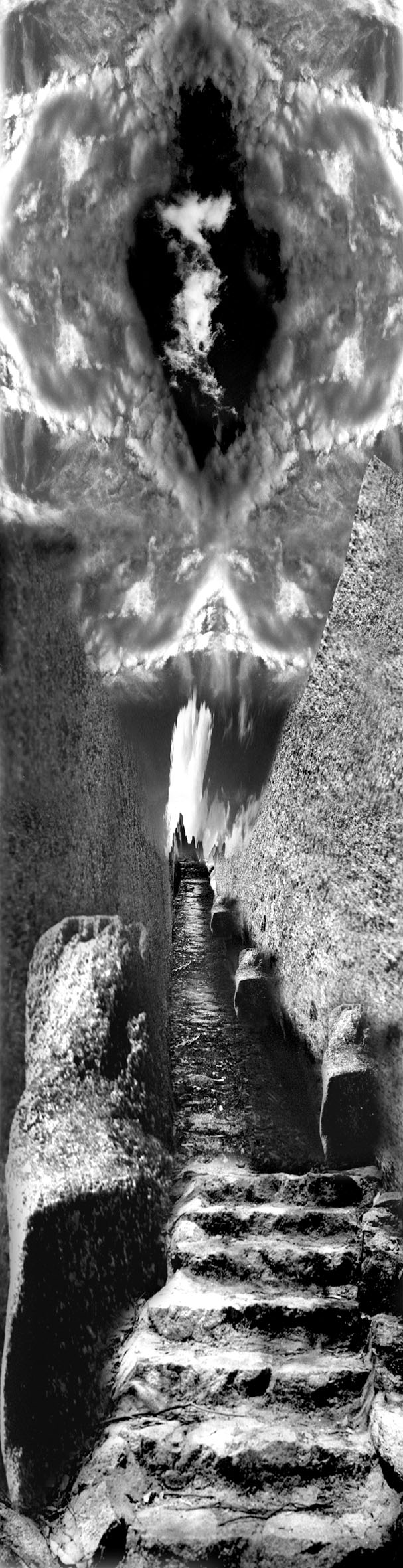 Victoria Cooper (August, 1999), Buffalo Scrolls, The Pinnacle, inkjet on rice paper in acrylic boxes, Image: 107x27.5 cm, Scroll: 250x30 cm. Collection of the artist.