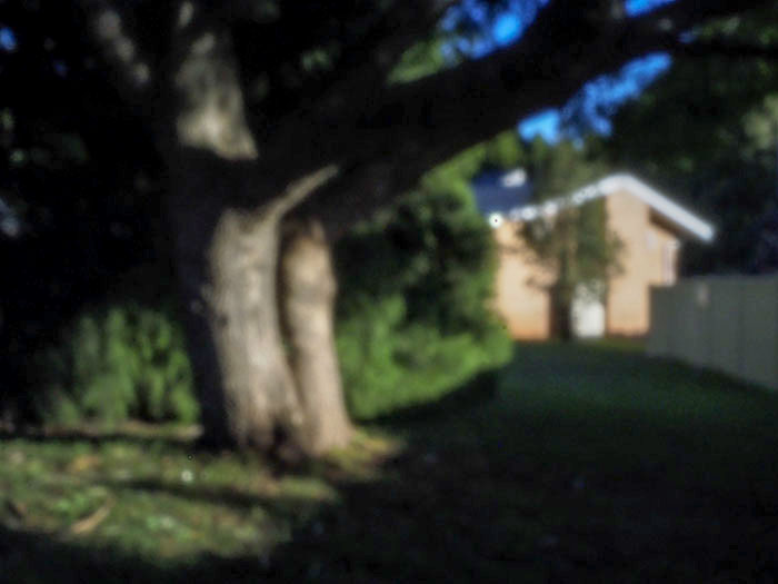 Tree House a pinhole image by Doug Spowart