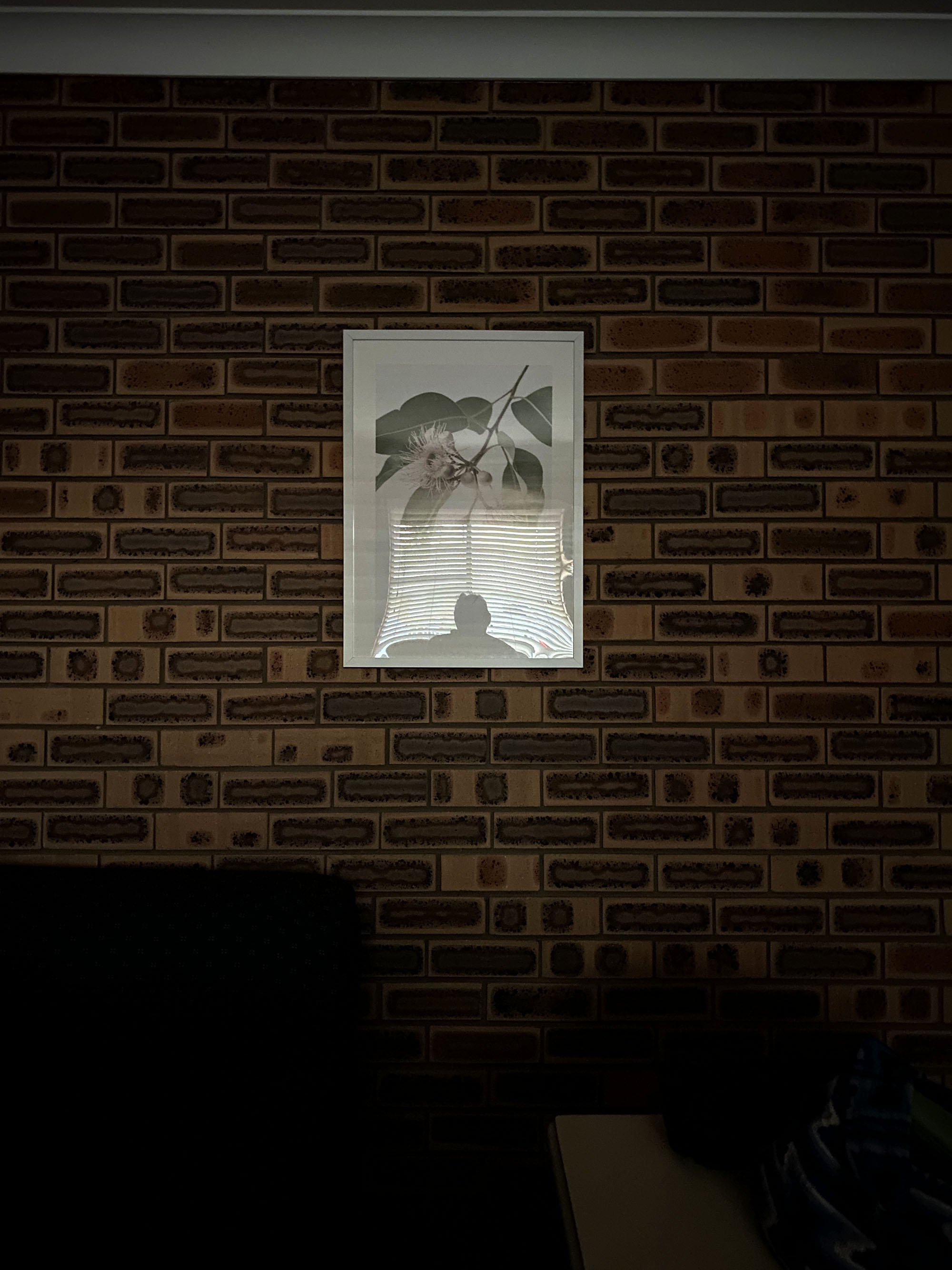 Narrabri Motel in the morning