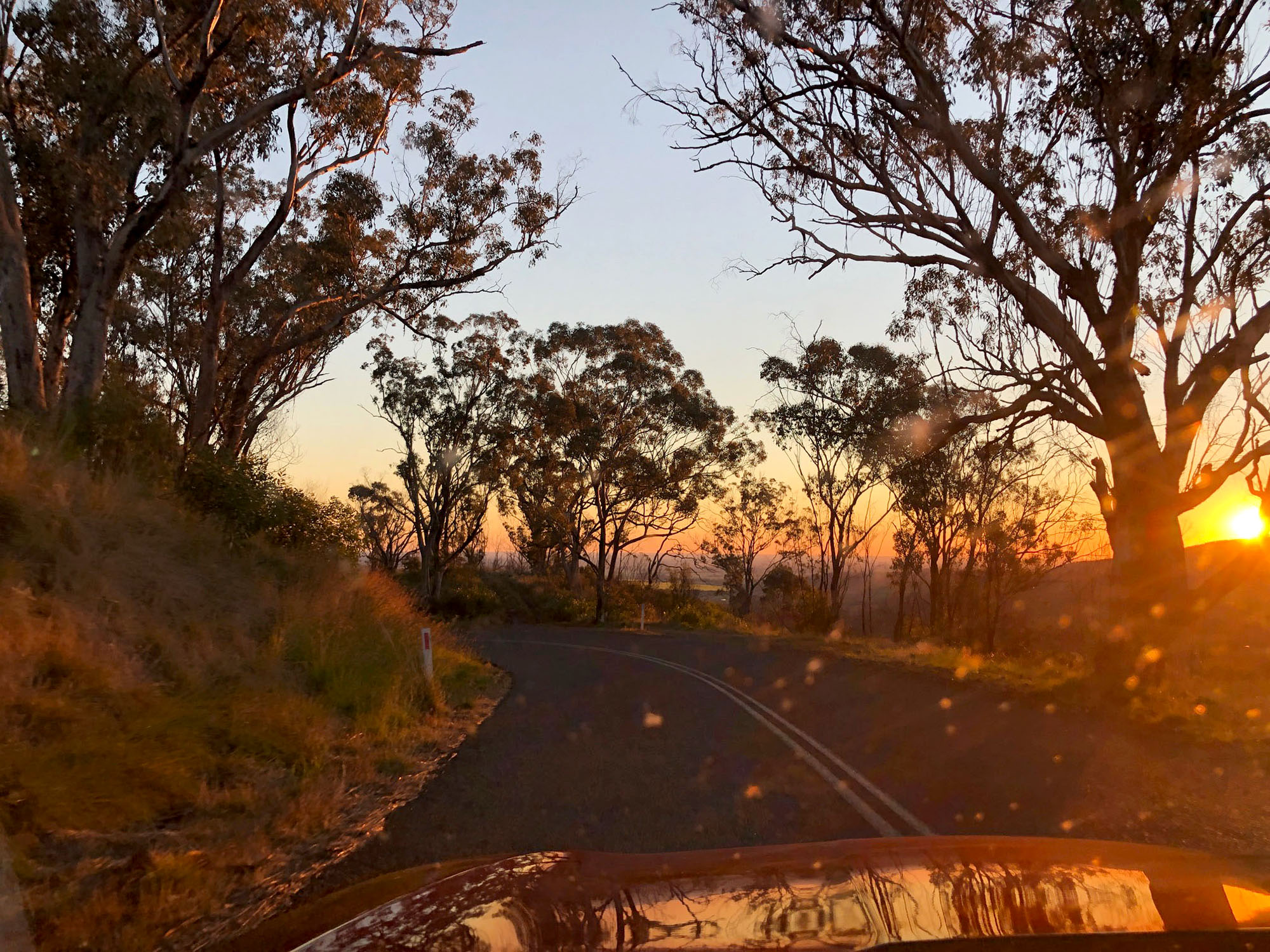 Dashing over the Kaputar Range to Narrabri