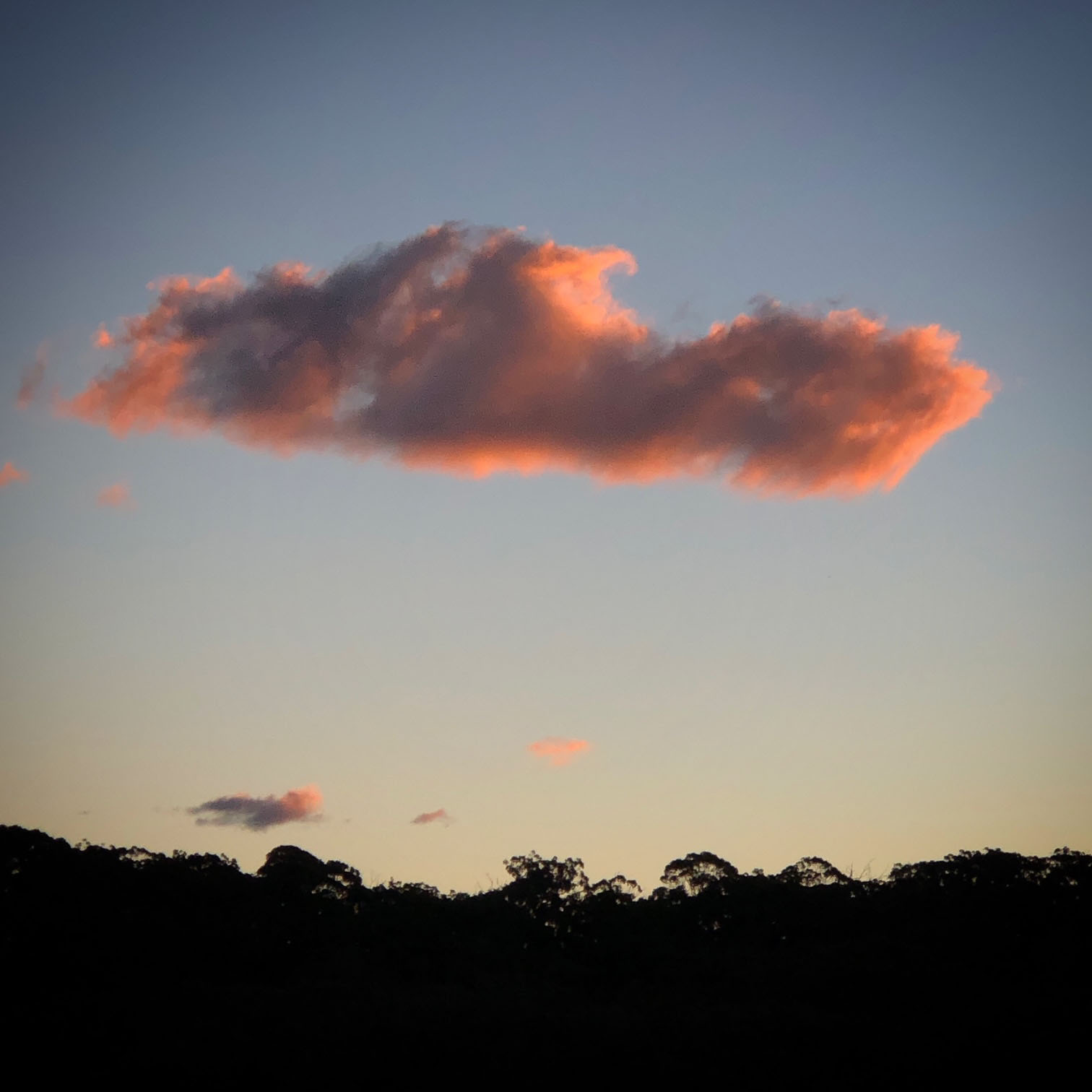A sunset cloud over the Wooli River