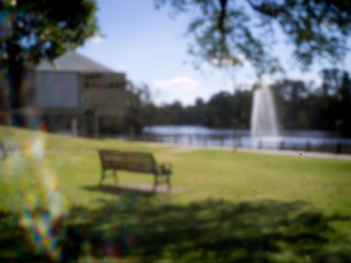 Vicky's Day Dreaming