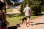 Doug’s  Walking the&nbsp;Dogs