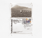 Screen Shot 2022-08-29 at 9.45.43&nbsp;am