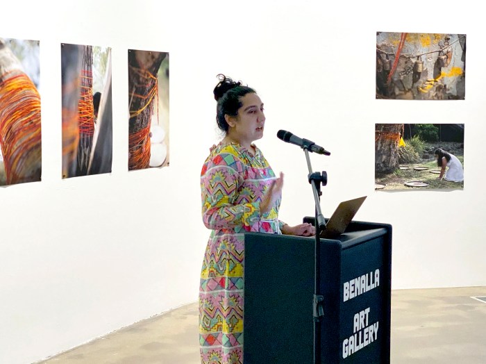 Amrit Gill Artistic Director:CEO, 4A Centre for Contemporary Asian Art