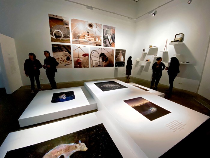 OCULI 'ACTS I–VII' Judith Nangala Crispin installation