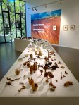 Pauline Fraser’s “Contemplating Nature” at the Benalla Art&nbsp;Galle