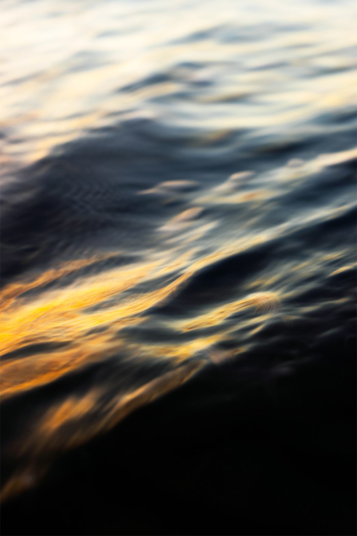 'CARESS' Nicholas Walton-Healey from the exhibition SALT FRAMES