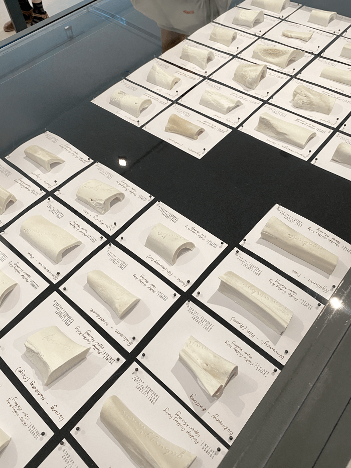 S.J Norman Wiradjuri people - Bone Library, 2012-2022