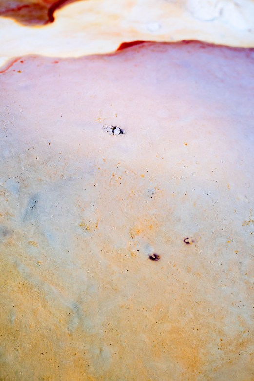 'SKIN' Nicholas Walton-Healey from the exhibition SALT FRAMES