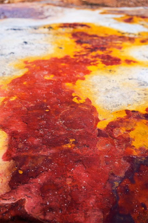 'Spoor' Nicholas Walton-Healey from the exhibition SALT FRAMES