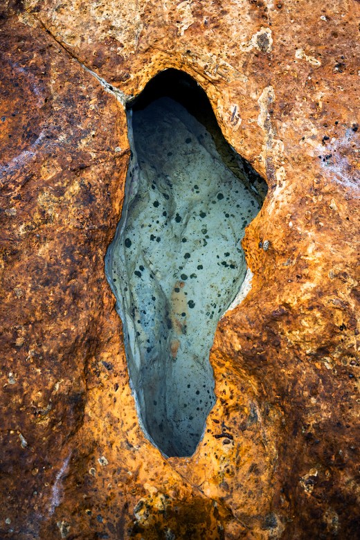 'Tounge' Nicholas Walton-Healey from the exhibition SALT FRAMES