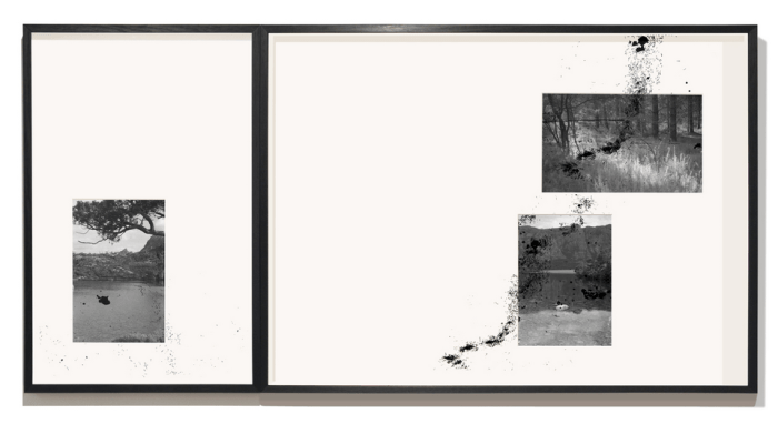 Melanie Cobram’s The Colony Reclaims the Land