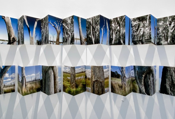 Doug Spowart's "Once was..." and "Story Trees" view centre