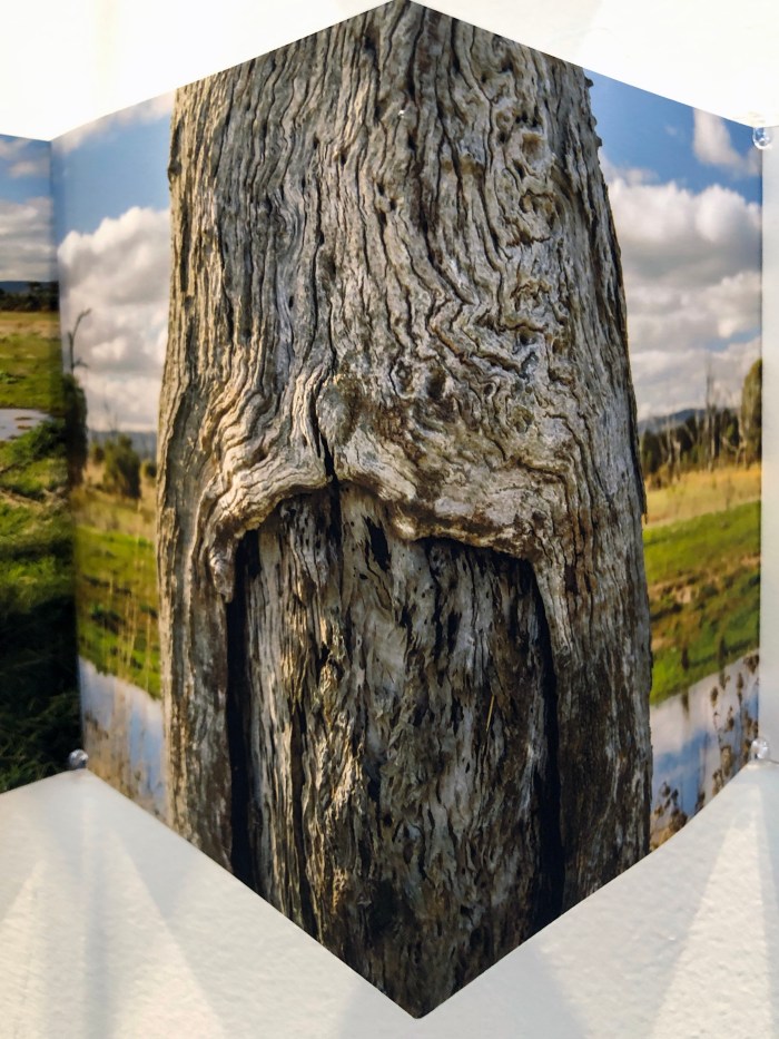 Doug Spowart's "Story Trees" (detail)