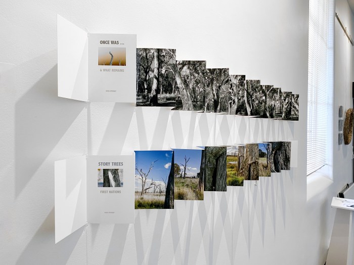 Doug Spowart's "Once was..." and "Story Trees" view right