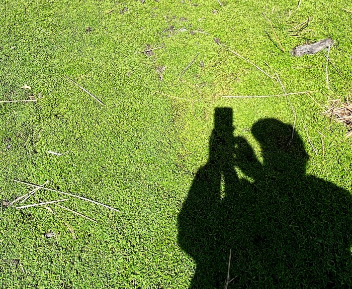 Doug Spowart swamp shadow