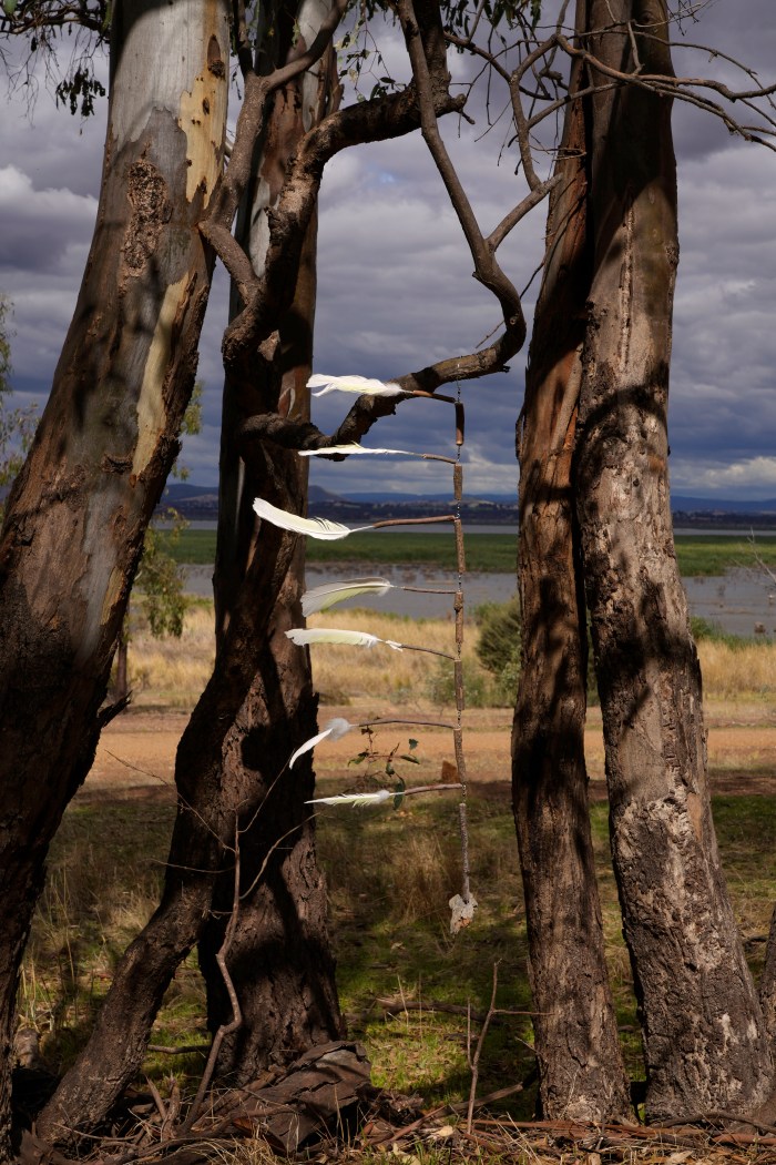 Maggie Hollins "Drifting on a Current"