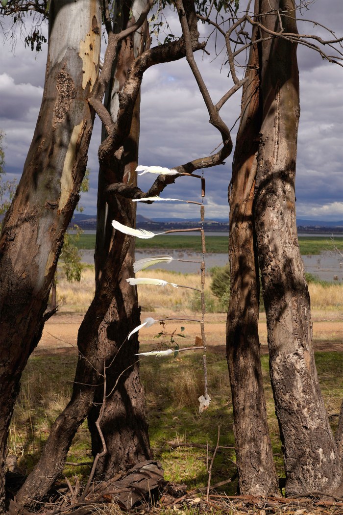 Maggie Hollins' "Drifing on a Current"