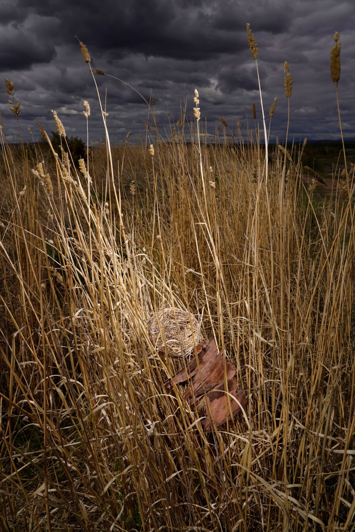 Maggie Hollins' "Spirit of the Past"