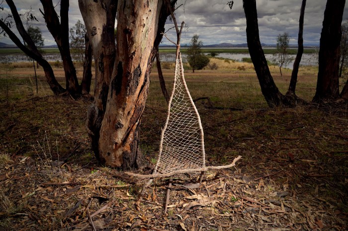 Maggie Hollins "Harmony"