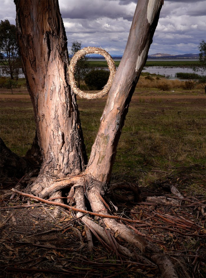 Maggie Hollins "The Circle"