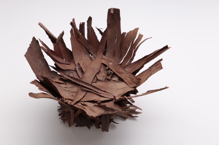 Maggie Hollins "Sacrifice"