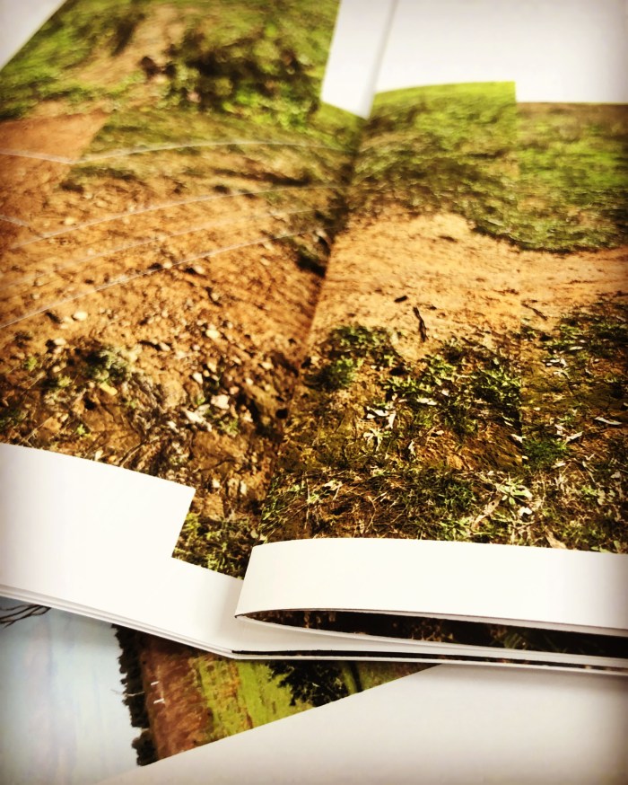 Victoria Cooper's A Work in Progress artists book