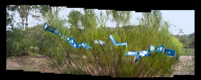 Victoria Cooper's "Flood" in situ on the island Bundanon