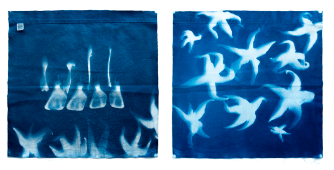 Starfish swarm with wallaby bones by Victoria Cooper