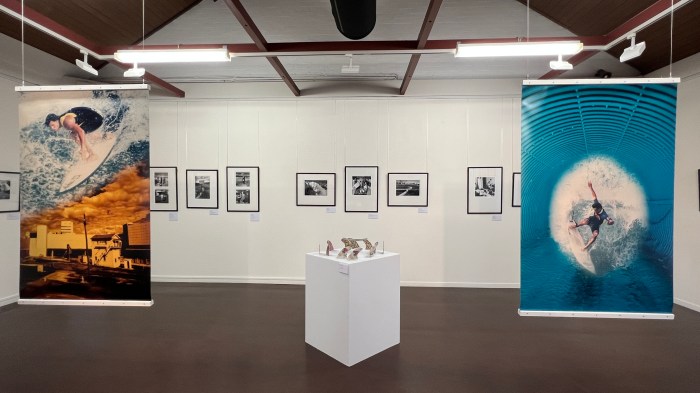 The "Ippy Drops In and Rips" installation Photo:John Elliott