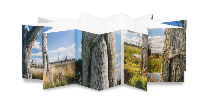 Doug SPOWART - Story Trees artists book