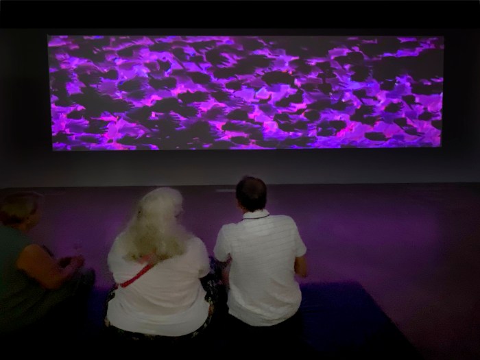 Benalla Art Gallery - Gonketa's "Moving Forward" exhibition