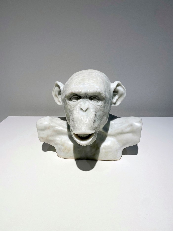 Bendigo Art Gallery - Lisa Roet's "The Advocate - Through Gritted Teeth"