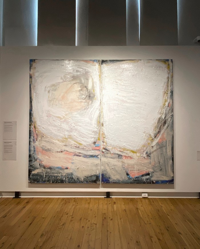 Wangaratta Art Gallery - A work by Robert Hirschmann in "Beauty & Fear"