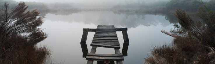 Crocodile Reservoir 2006 PHPTO: Julie Millowick