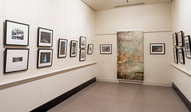 Surrounding exhibition installation PHOTO: Supplied by the artist