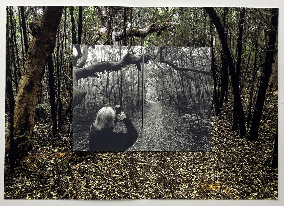 ACT 2 Angophora Grove Walk – Yuraygir National Park