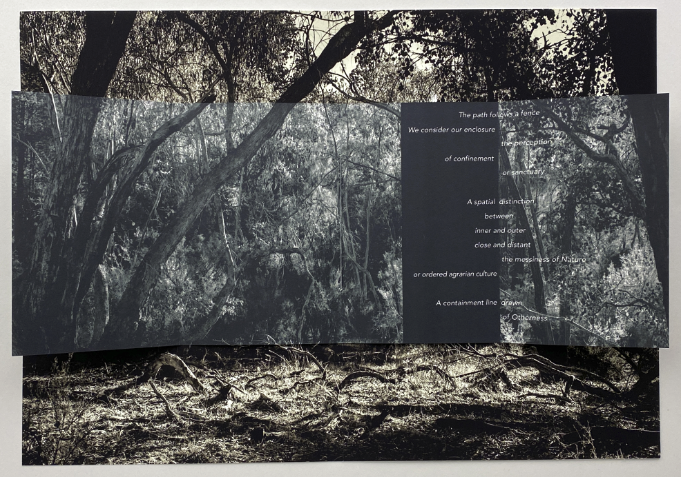 ACT 3 Walking the fenceline – Sunrise Track, Warby Ranges