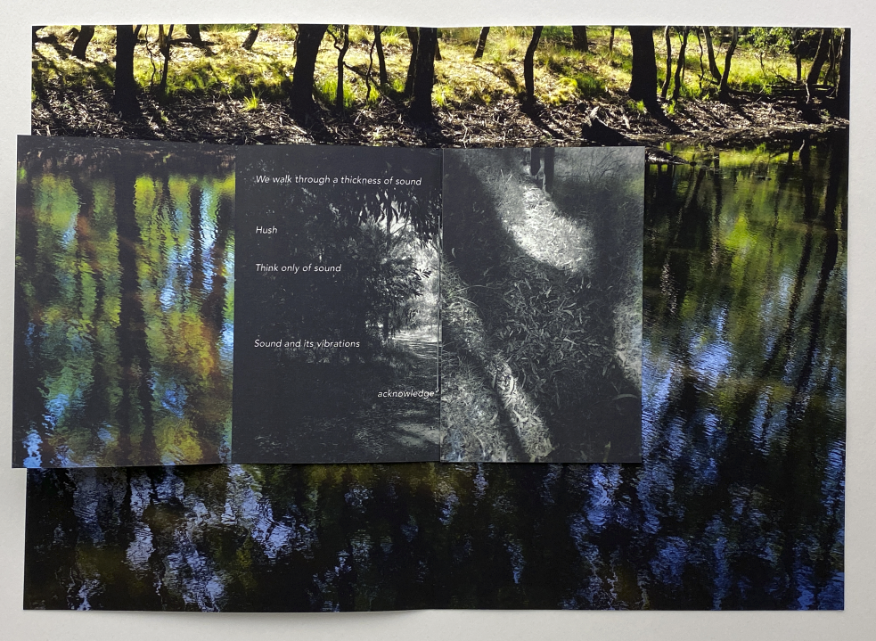 ACT 4 Walking through the thickness of sound – Ovens River, Wangaratta