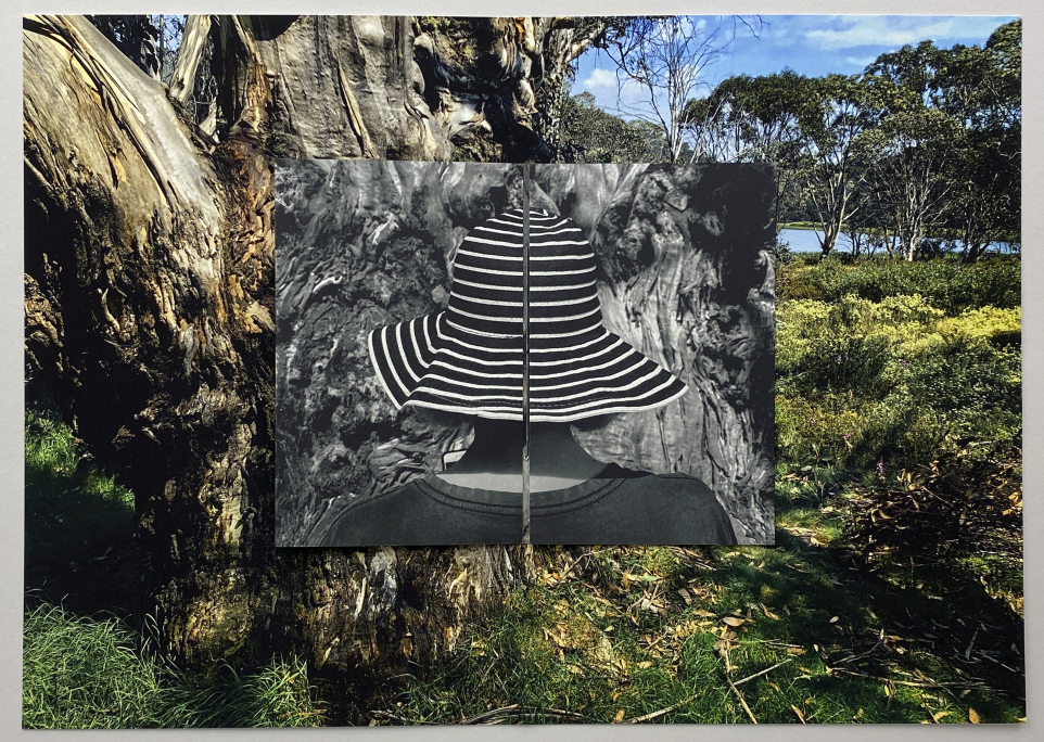 ACT 5 In the presence of a tree – Lake Catani, Mount Buffalo National Park